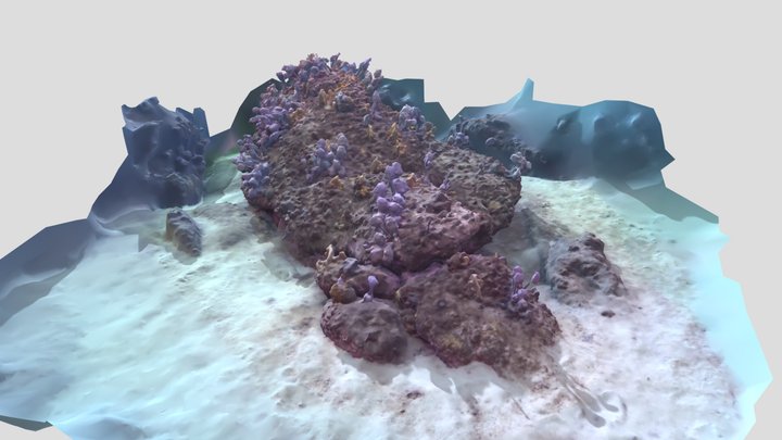 ocean - A 3D model collection by baxterbaxter - Sketchfab