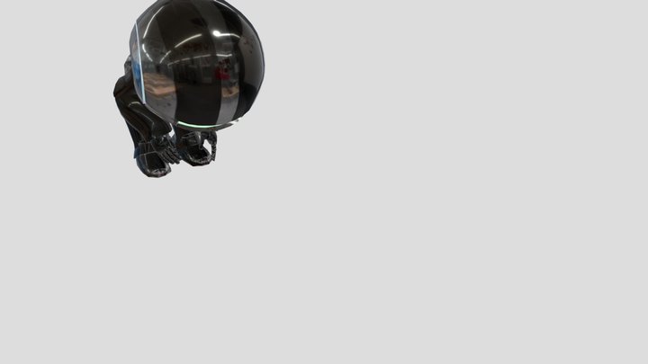IO Rinverse 3D Model