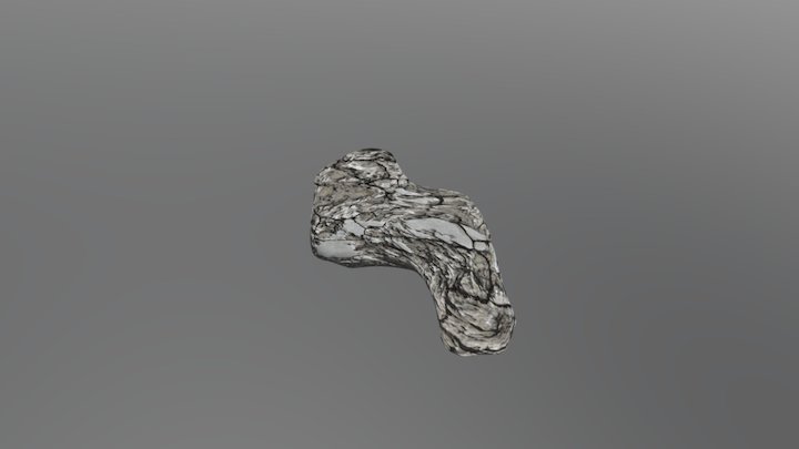 Rock 7 3D Model