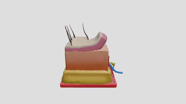 IS 2 UGA 3D Model