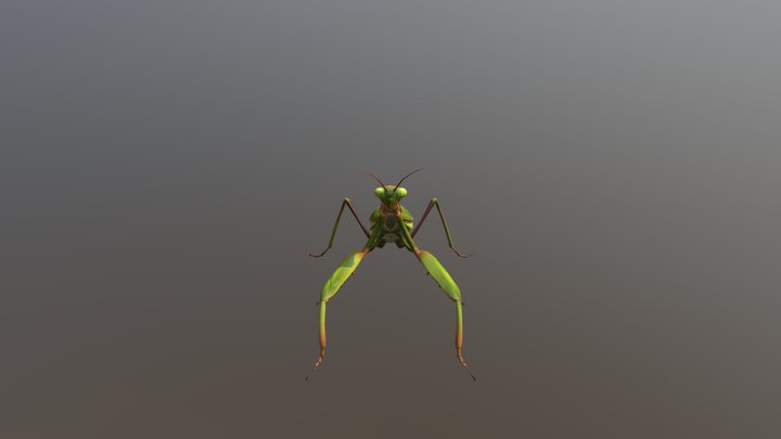 Walang Fbx 3D Model