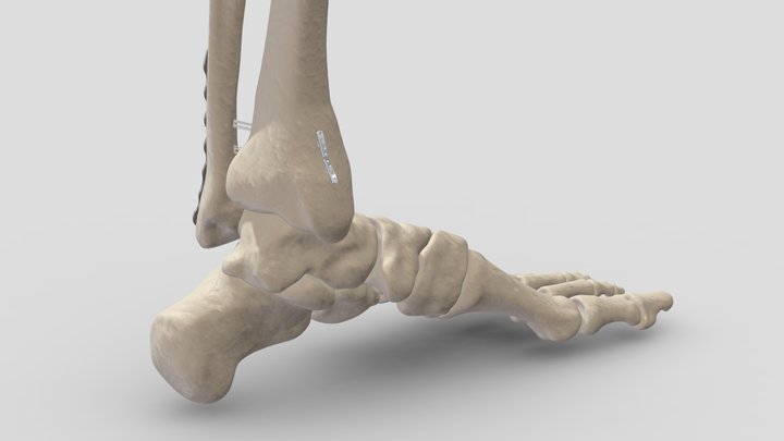 sketchfab-01 3D Model