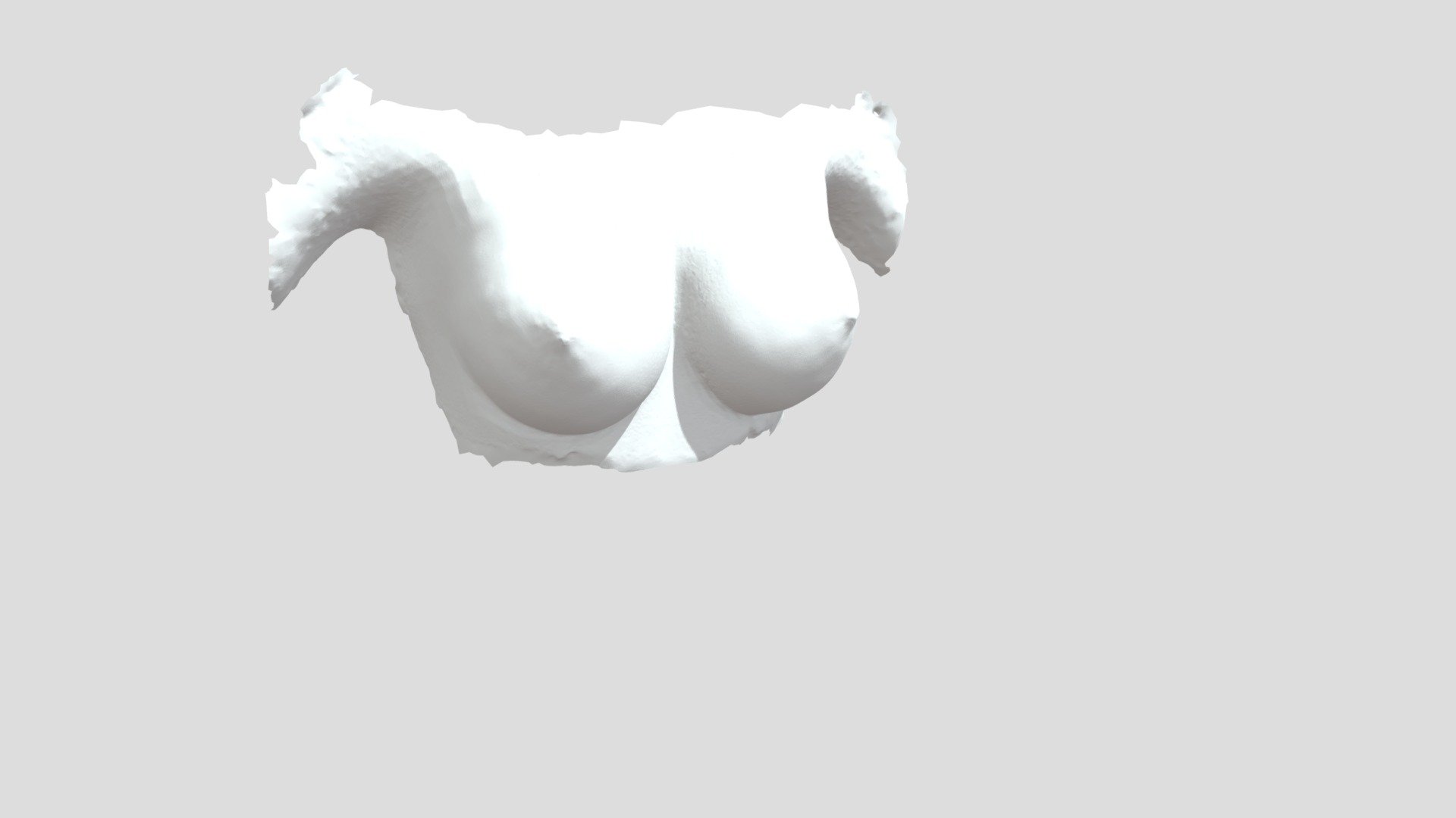 Agisoft