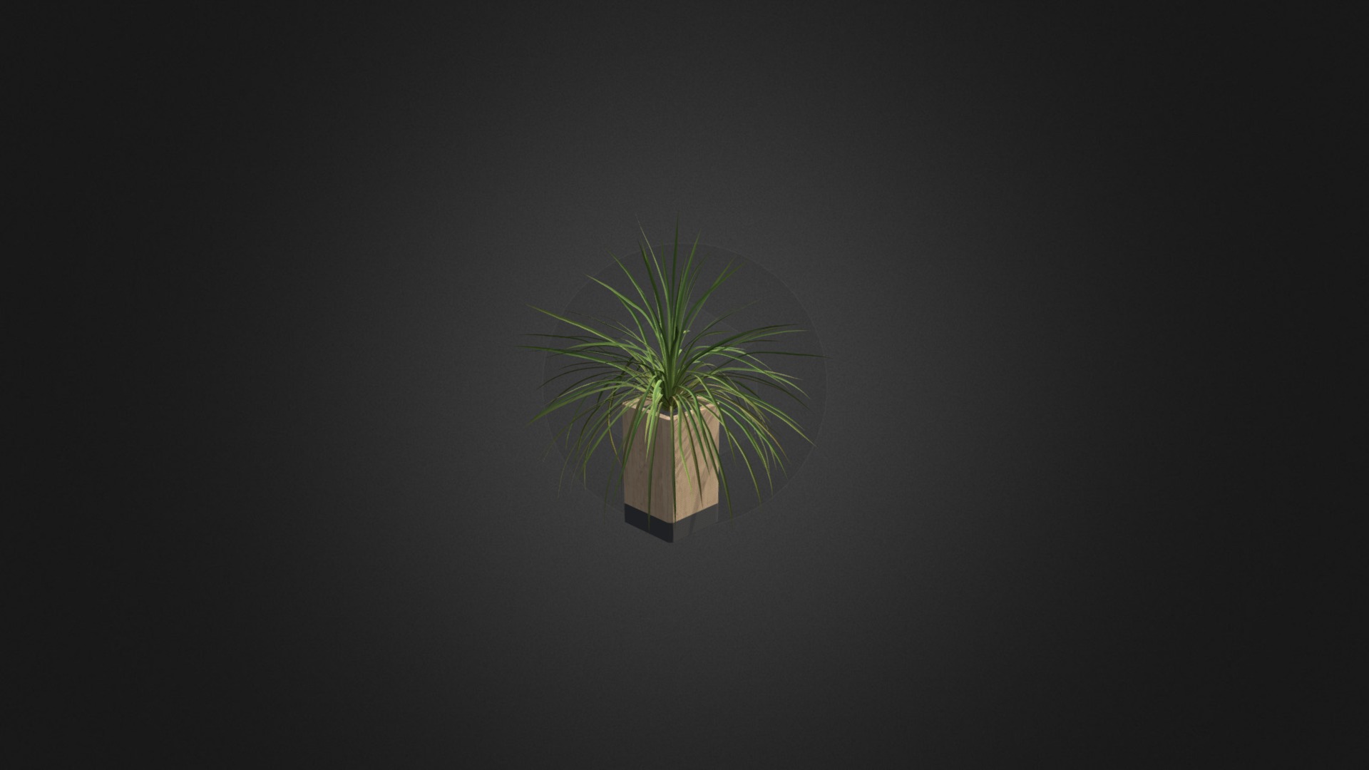 3D model Small Plant in Wooden Pot - This is a 3D model of the Small Plant in Wooden Pot. The 3D model is about a plant with a green stem.