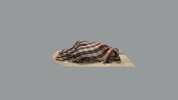 Sleeping girl 3D Model