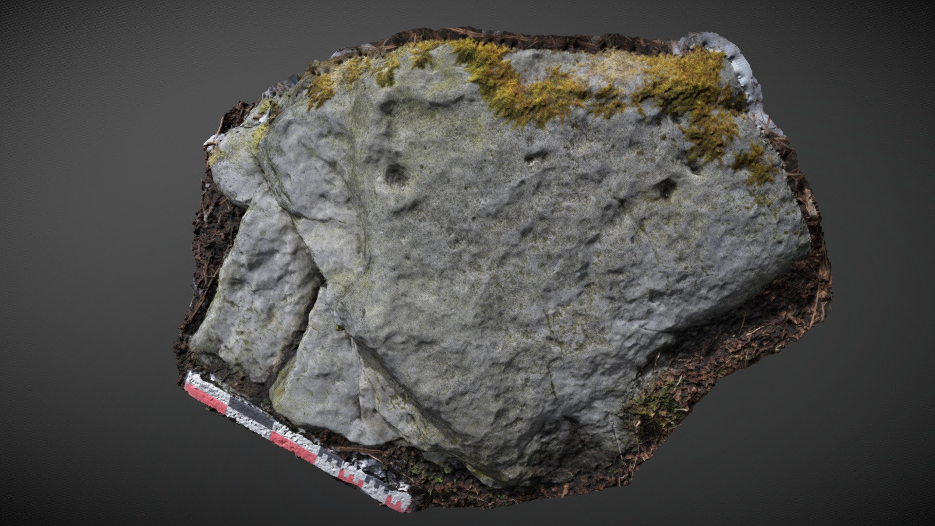 Rushy Beck 03 Download Free 3D model by England's Rock Art Archive