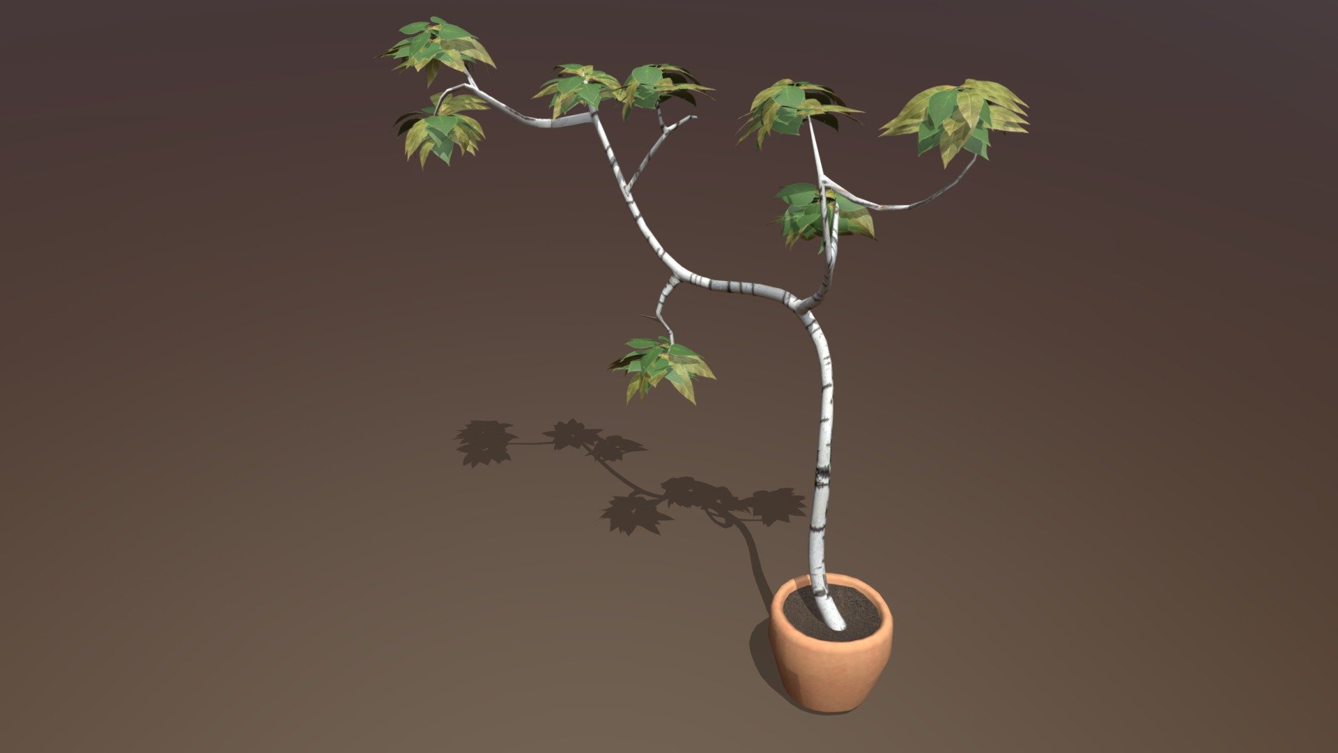 Plant