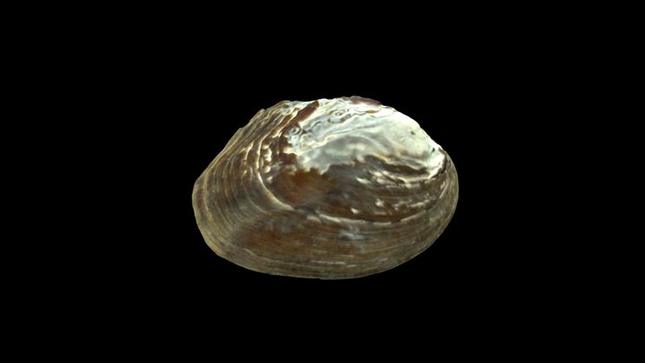 Threeridge 3D Model