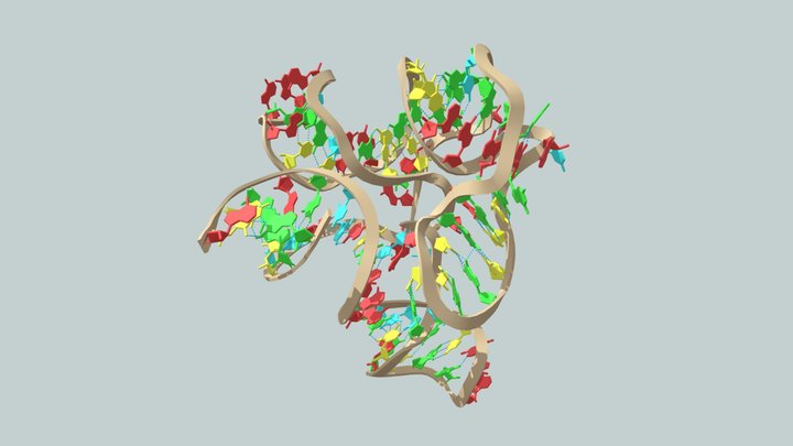 Riboswitch mRNA Molecular Structure 3D Model