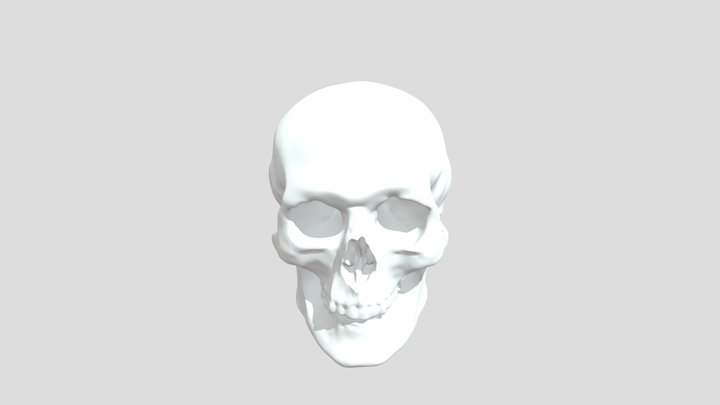 骷髅头 3D Model