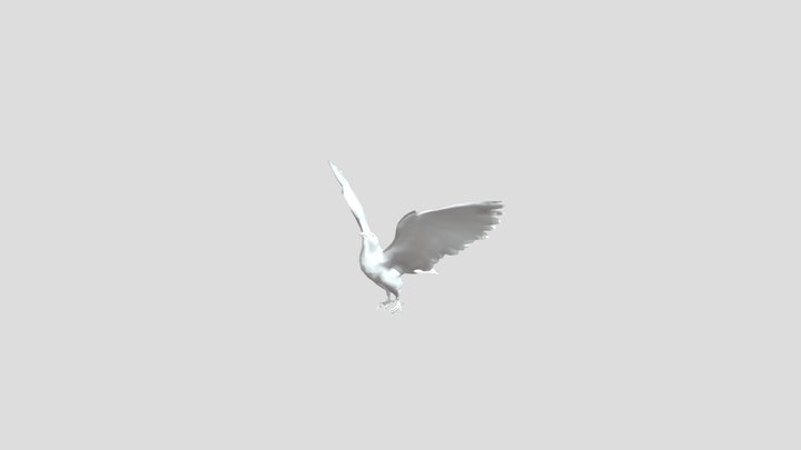 Gyrfalcon 3D Model