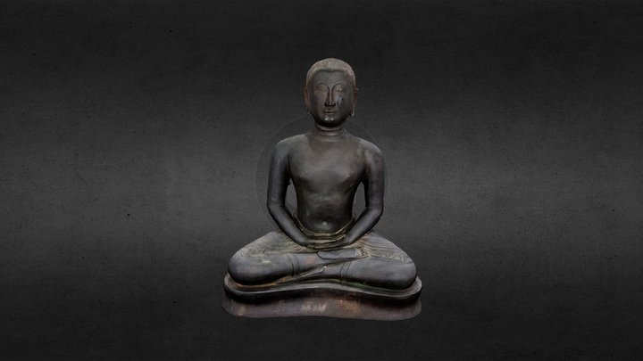 177 3D Model
