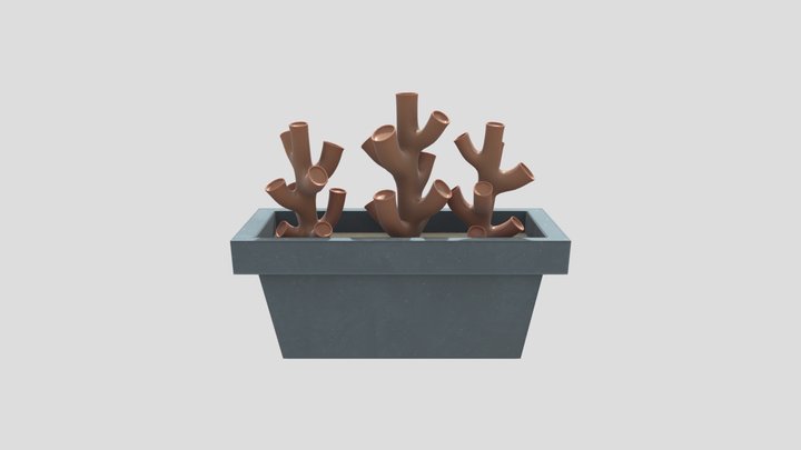 coral2_low 3D Model