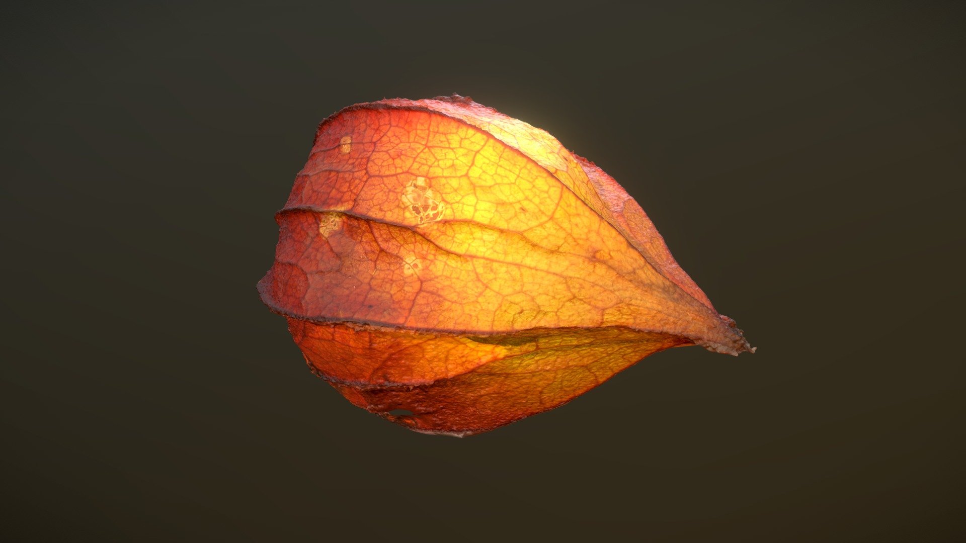 Glowing Wintercherry Photogrammetry — Sketchfab embed 3D viewer
