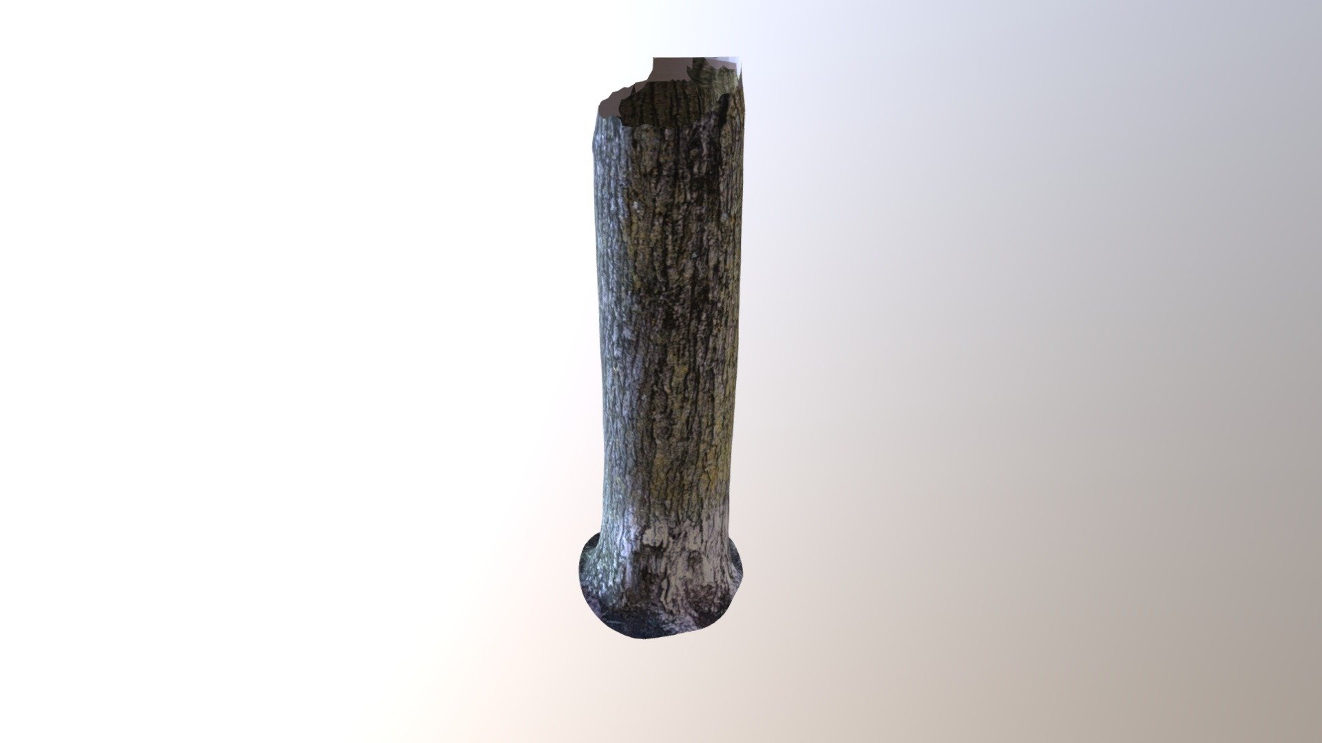 trunk