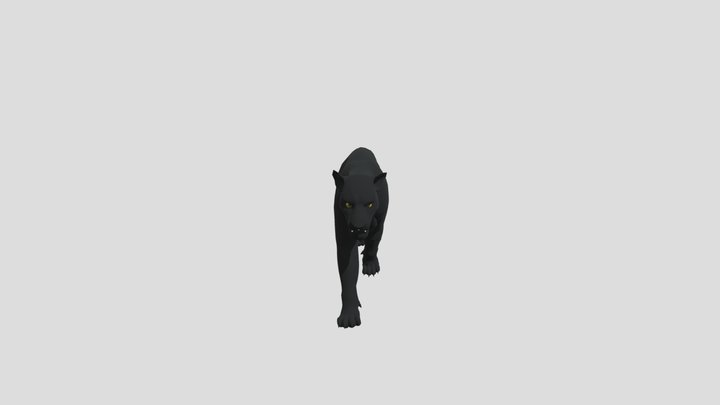 Panther animation 3D Model