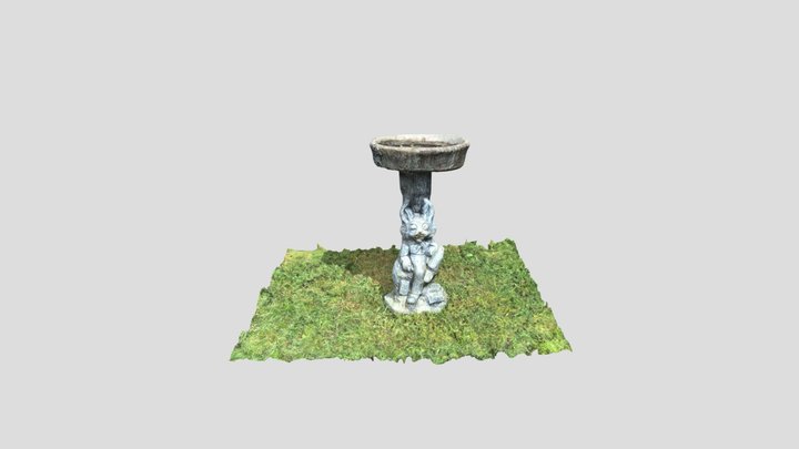 Bird Bath
