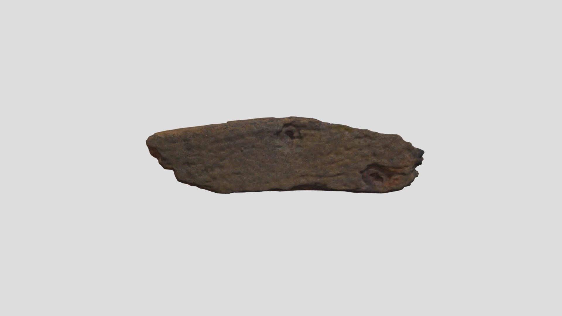 Wood fragment from Betsy (VCU_3D_2101)