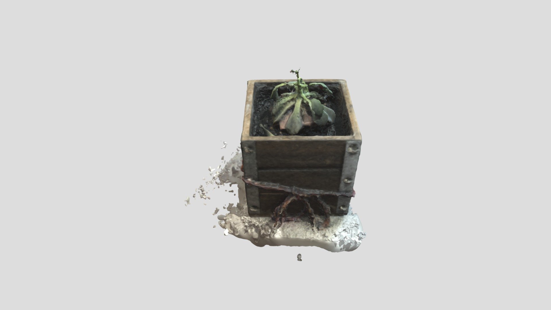 DF-plant