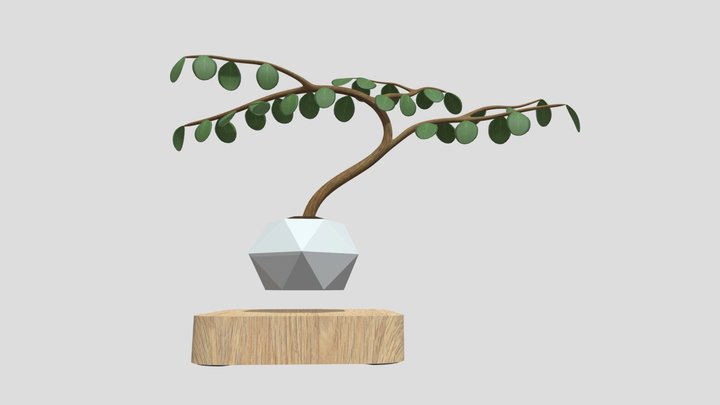 Floating Bonsai Tree 3D Model