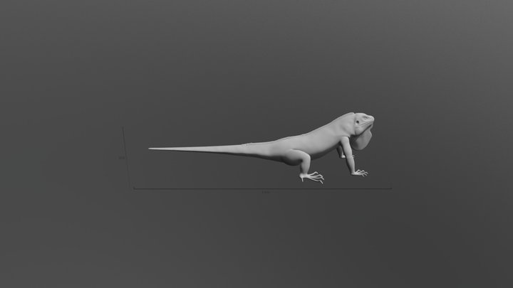 5 Driezas 3D Model
