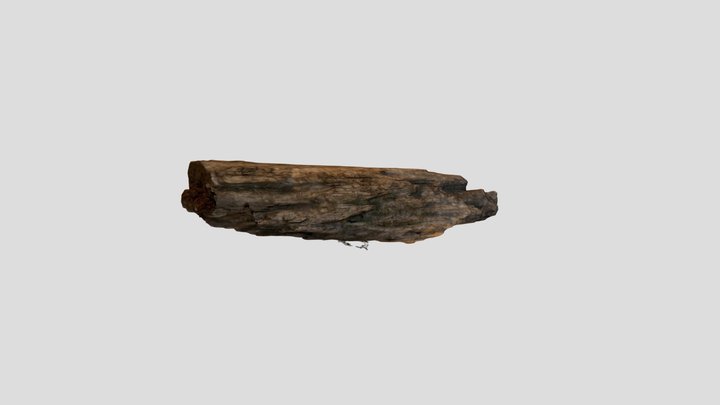 RottenWood01 3D Model