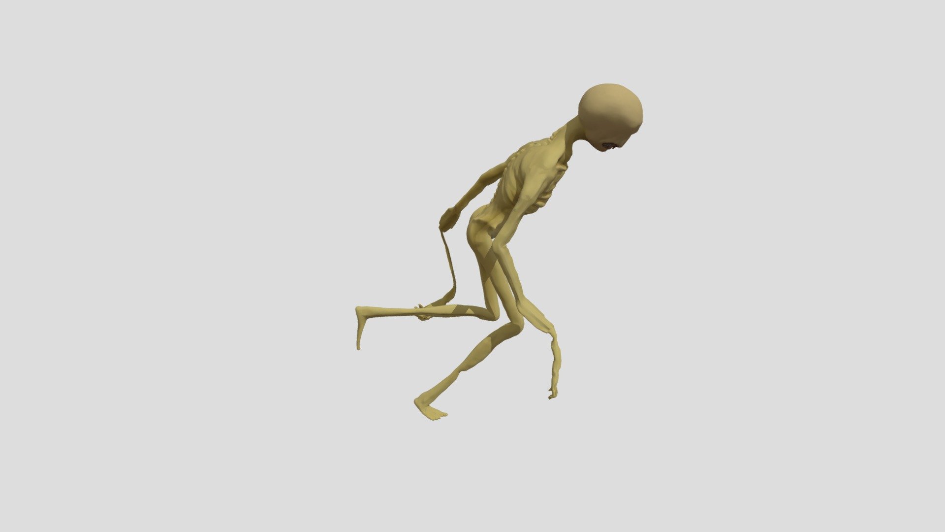 Verity animation- верети с анимациями - Download Free 3D model by ...