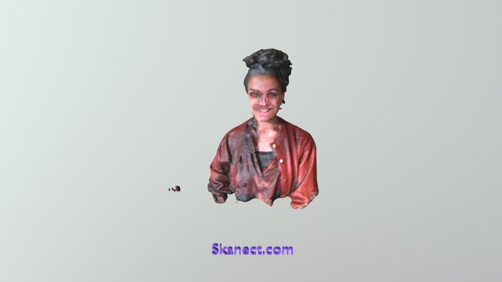 New Skanect Model 3D Model