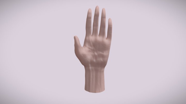 Mutated Hand (sculpted) 3D Model