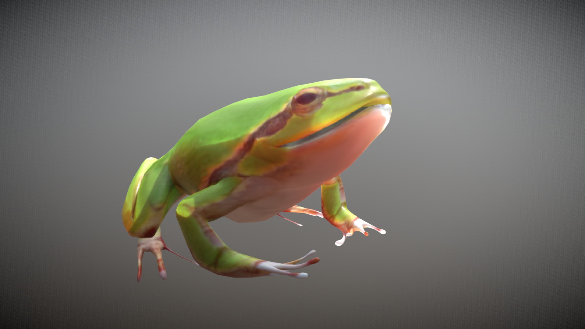3D model Frog - This is a 3D model of the Frog. The 3D model is about a colorful frog on a branch.