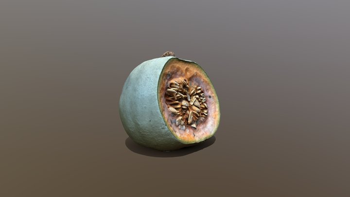 Melon 3D Model