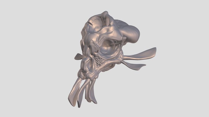 jabalí_colibrí 3D Model