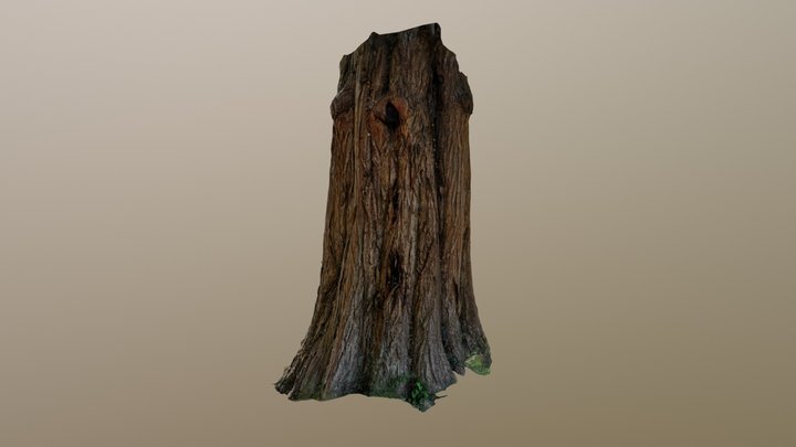 Giant Redwood - Meshroom 3D Model