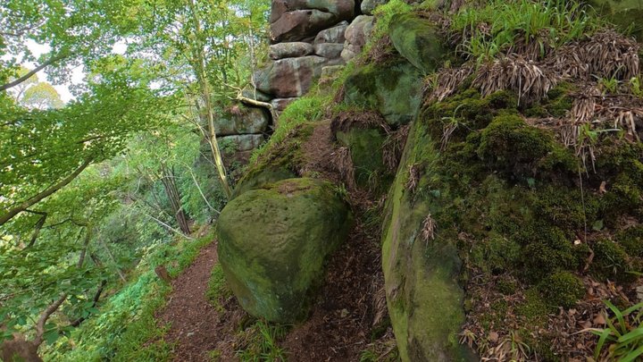 Rowtor Rocks Cross Carving Pano