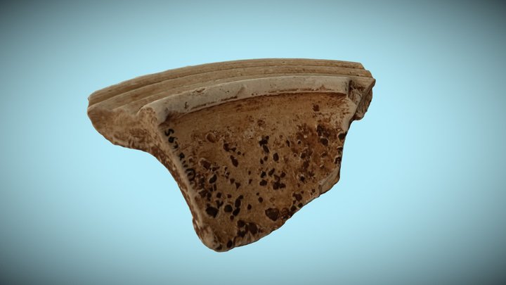 Portfolio Ceramic Scan 3D Model