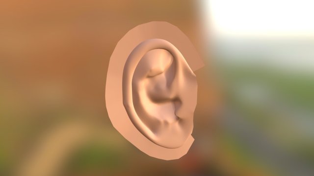 Oreja 3D Model