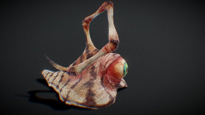 Stabbing Eyeball Slug 3D Model