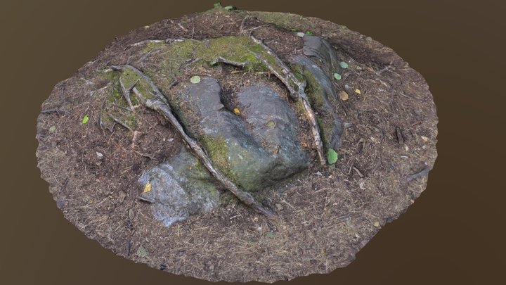 Rock with Tree Roots 3D Model