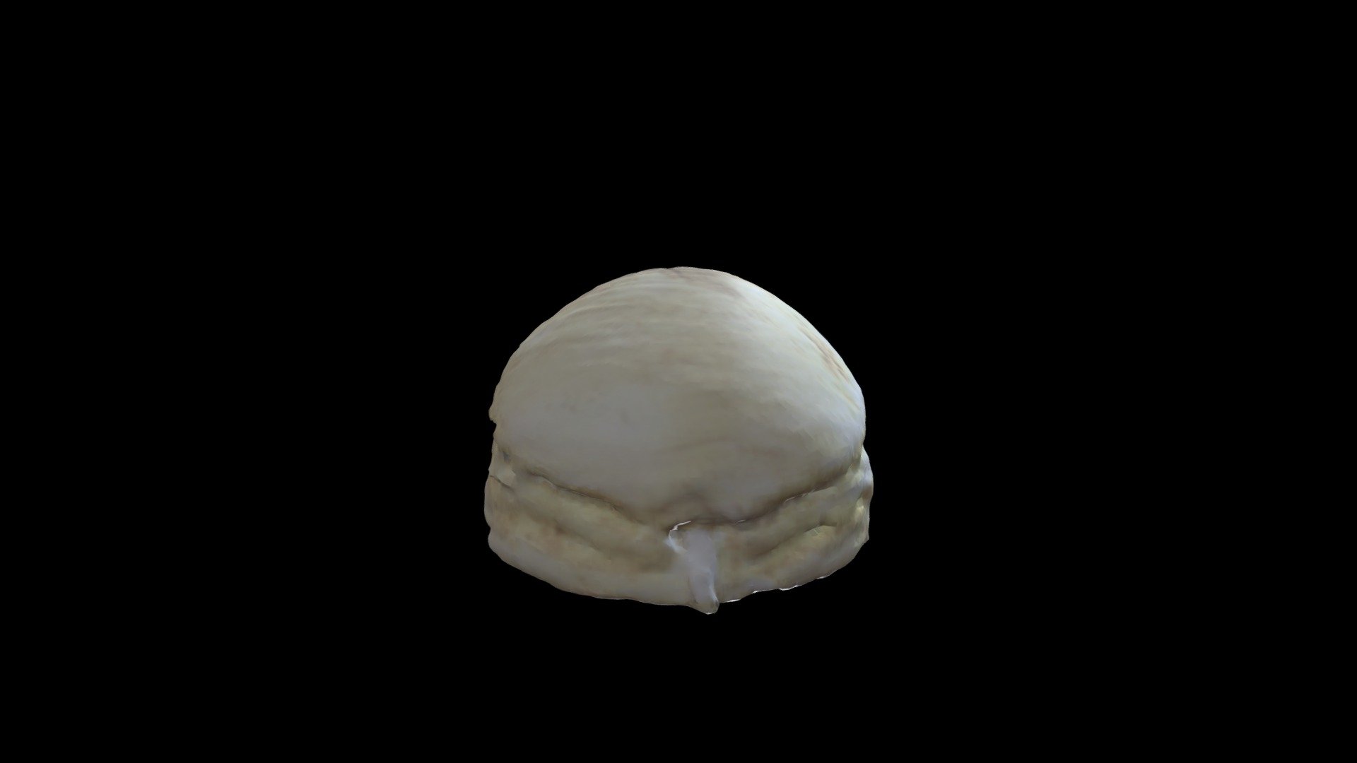 Scarab