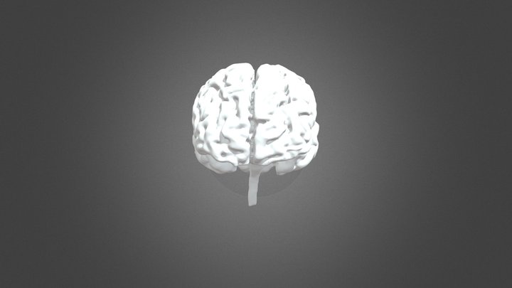 Segmentation Brain 3D Model
