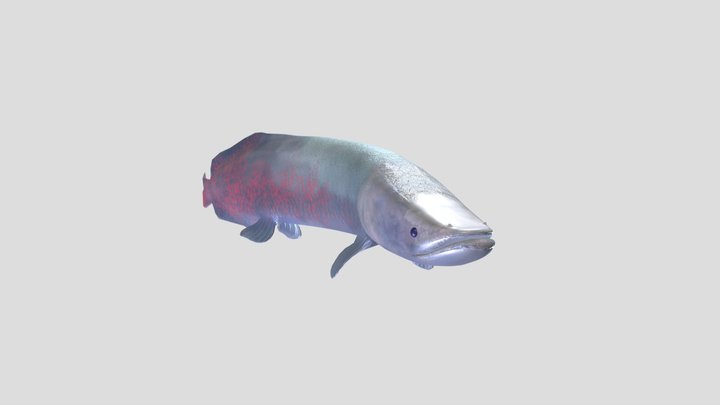 Amazon-rainforest 3D models - Sketchfab