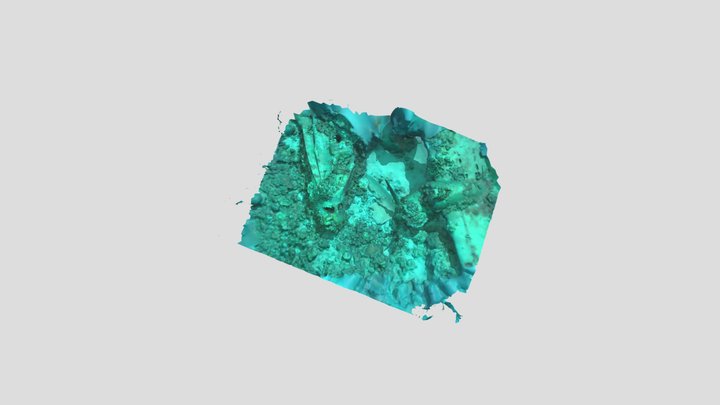 Emily Prop And Cabin.obj 3D Model