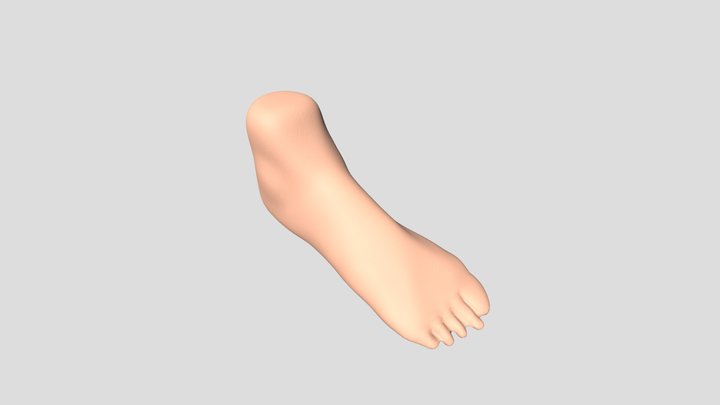 Foot_Sculpt 3D Model
