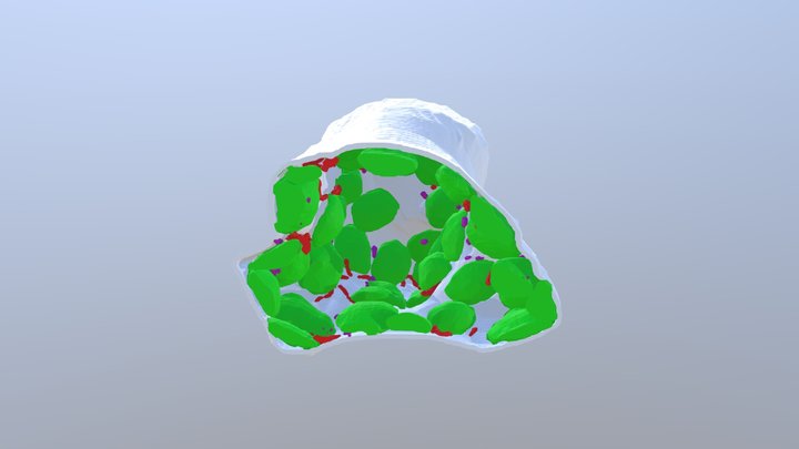 3D Wheat Leaf Cell 3D Model