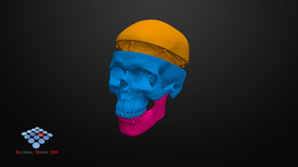 Craneo/Skull