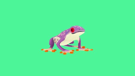 Poisonous Frog 3D Model