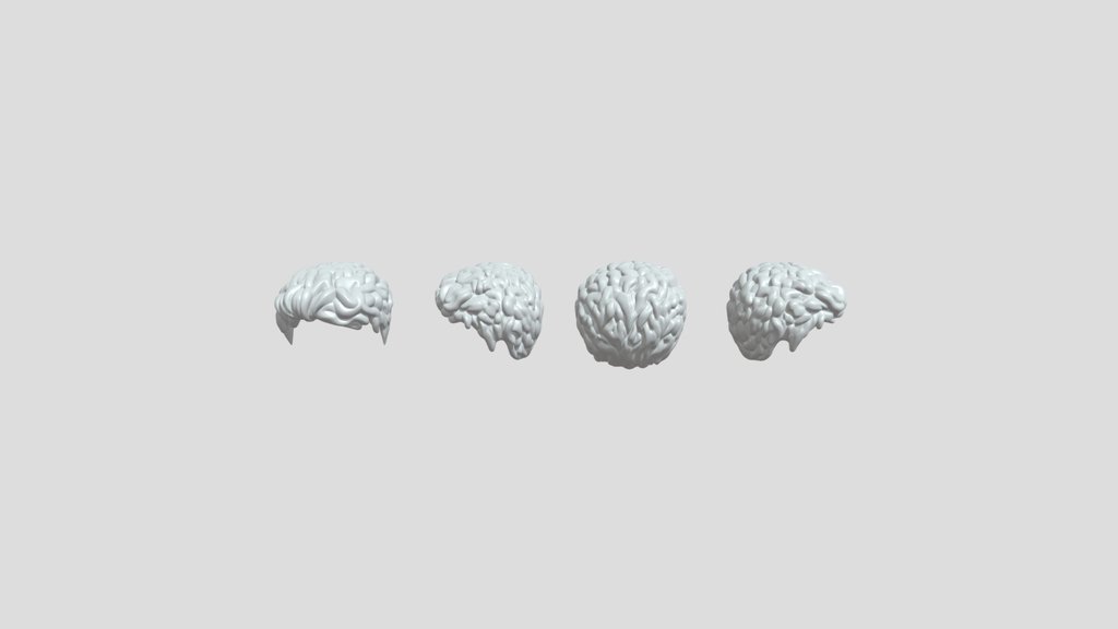 3D curly human hairstyle assets