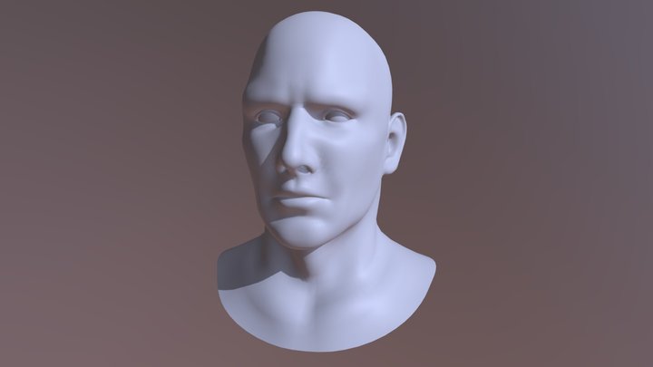 Male Head Basemesh 3D Model