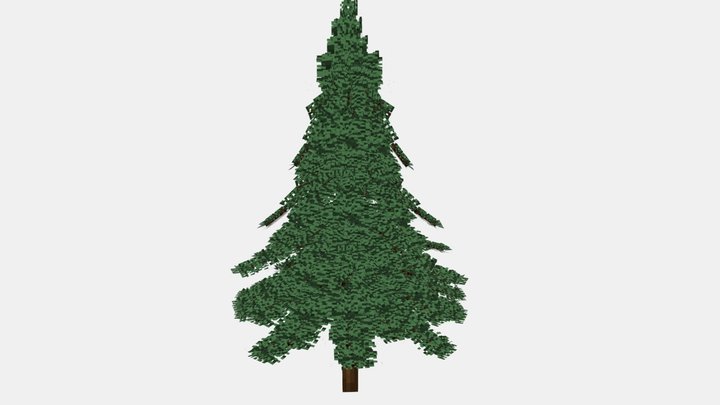 Fir Tree 3D Model