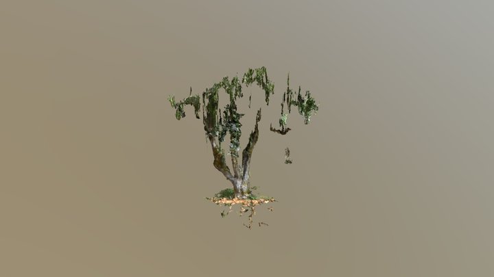 Upload treehouse 3D Model